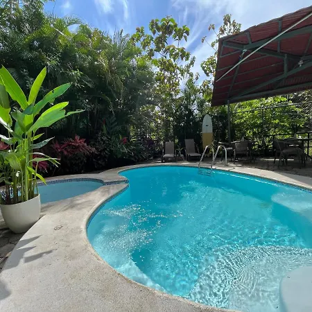 La Jungla Bed & Breakfast