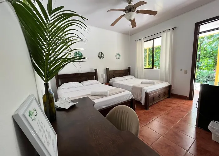Bed & Breakfast La Jungla