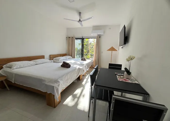 Bed & Breakfast La Jungla Puerto Carrillo