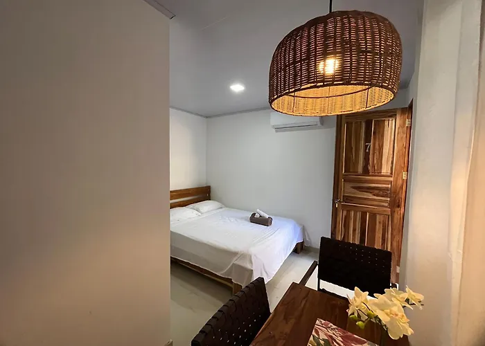 Bed & Breakfast La Jungla