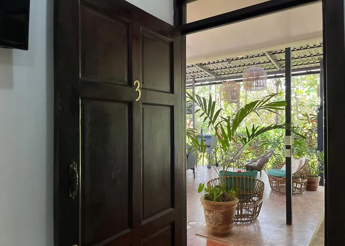 Bed & Breakfast La Jungla
