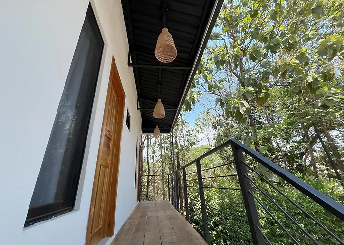 Bed & Breakfast La Jungla