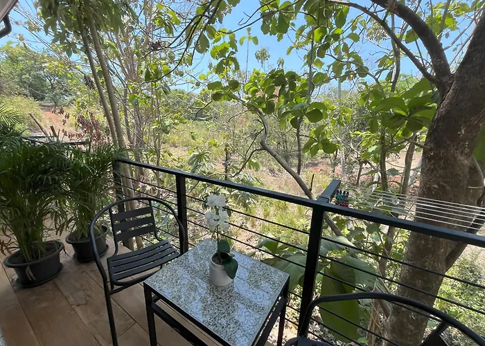 La Jungla Bed & Breakfast Puerto Carrillo