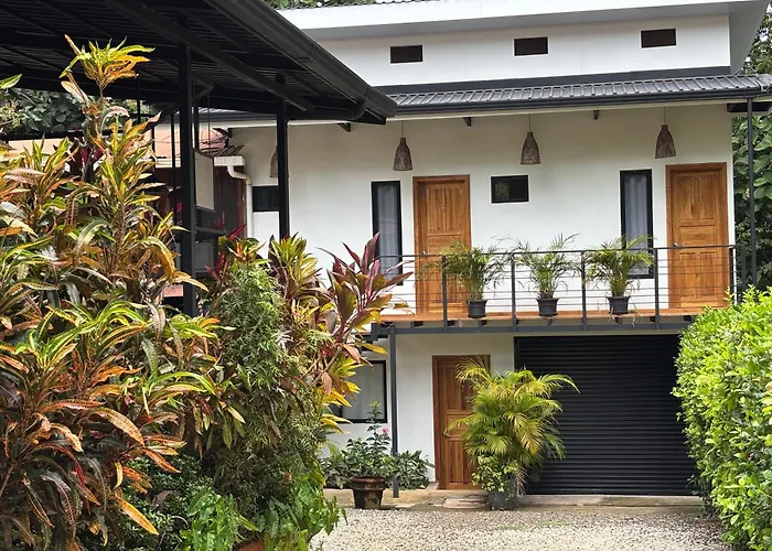 Bed & Breakfast La Jungla